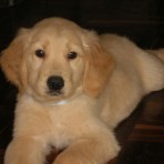 Princesa